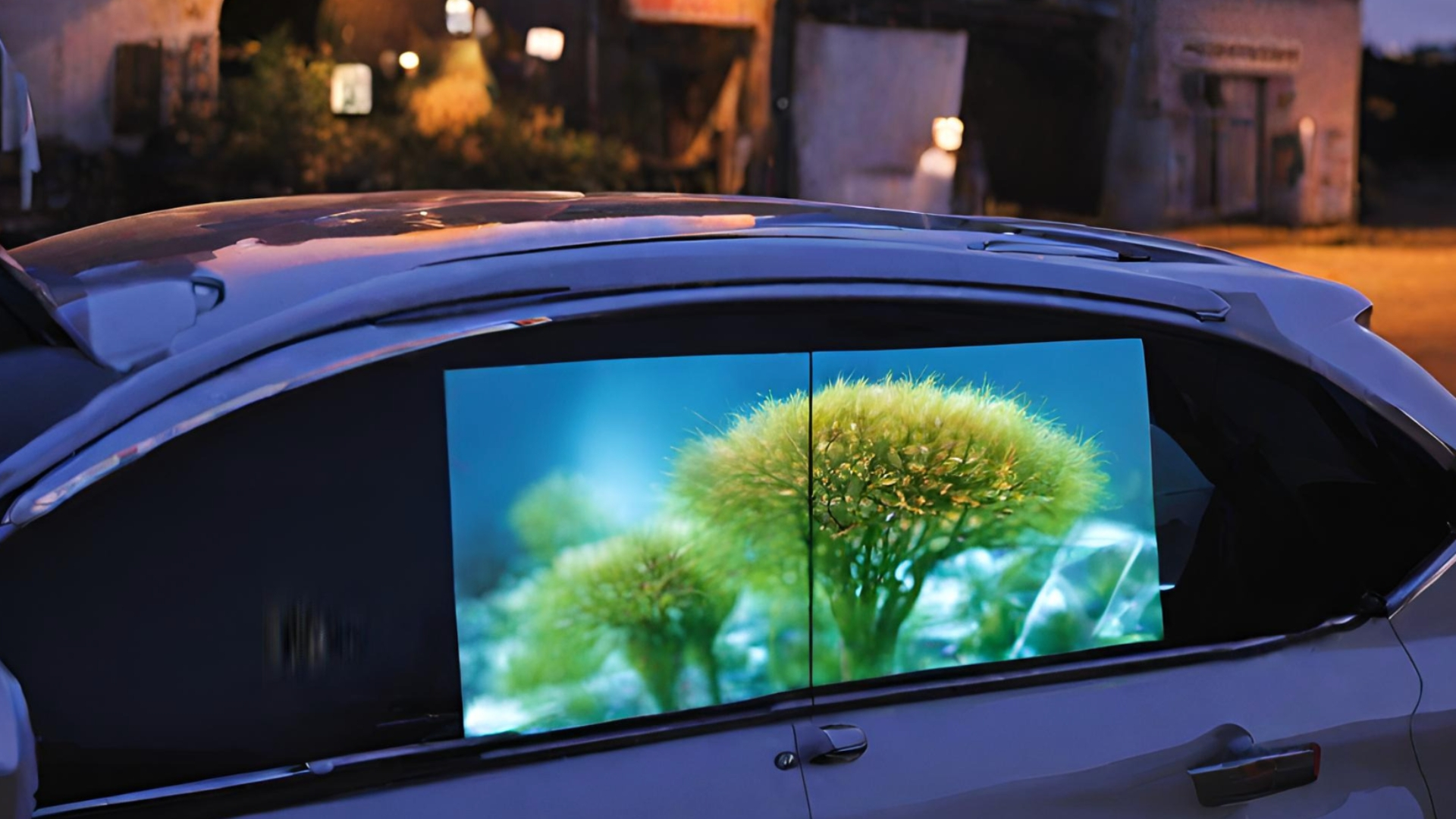 Rear/Side Window Displays